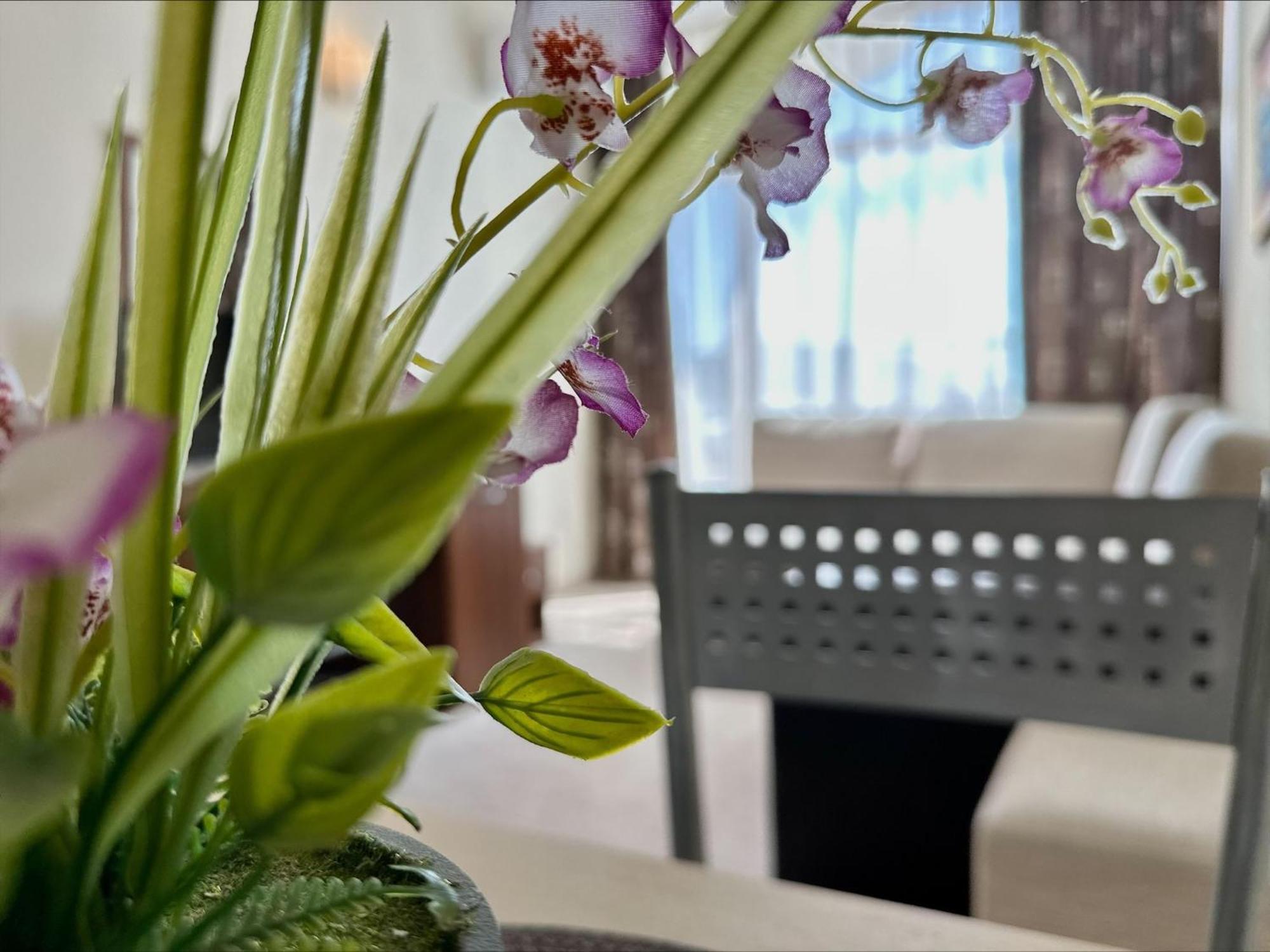 Grenada - Menada Apartments Slântsjev Brjag Rom bilde