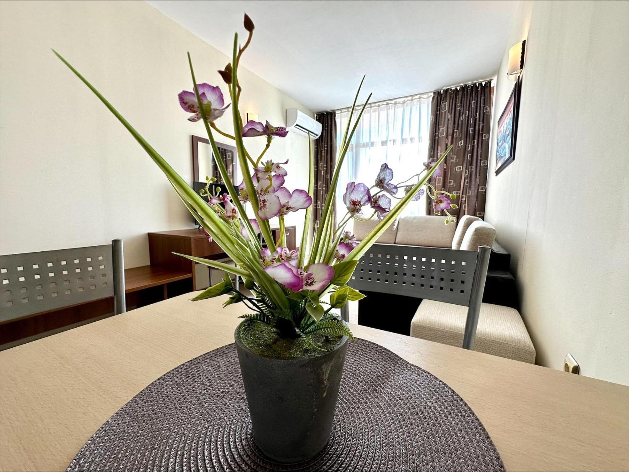 Grenada - Menada Apartments Slântsjev Brjag Rom bilde